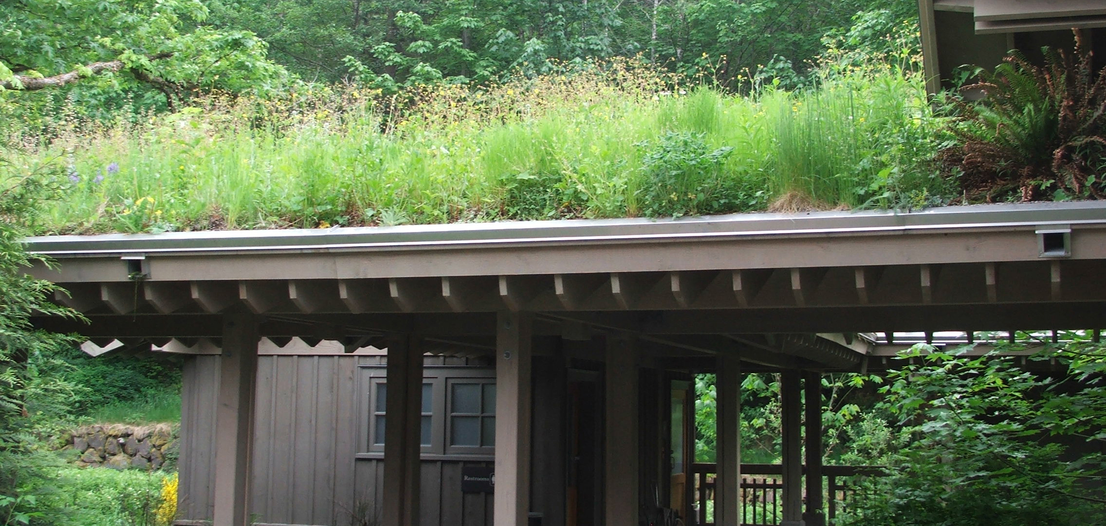 This is an image of a green roof.